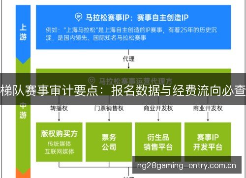梯队赛事审计要点：报名数据与经费流向必查