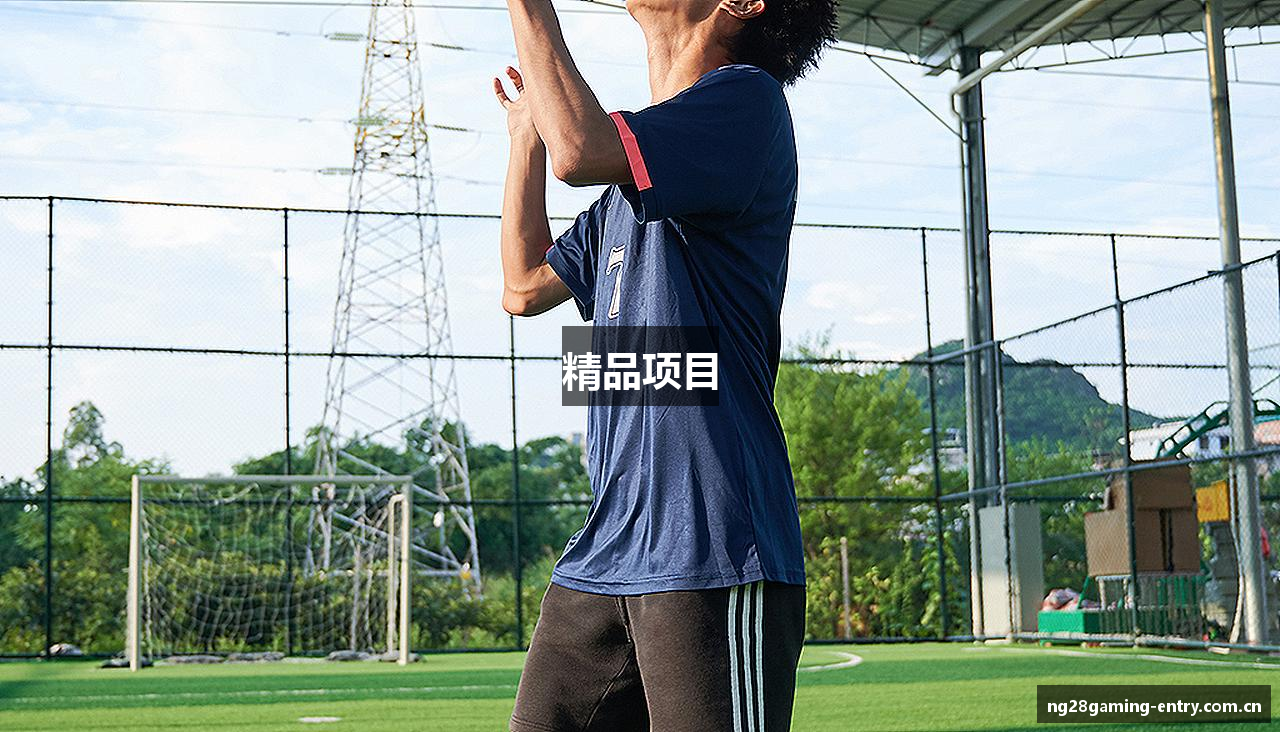 精品项目